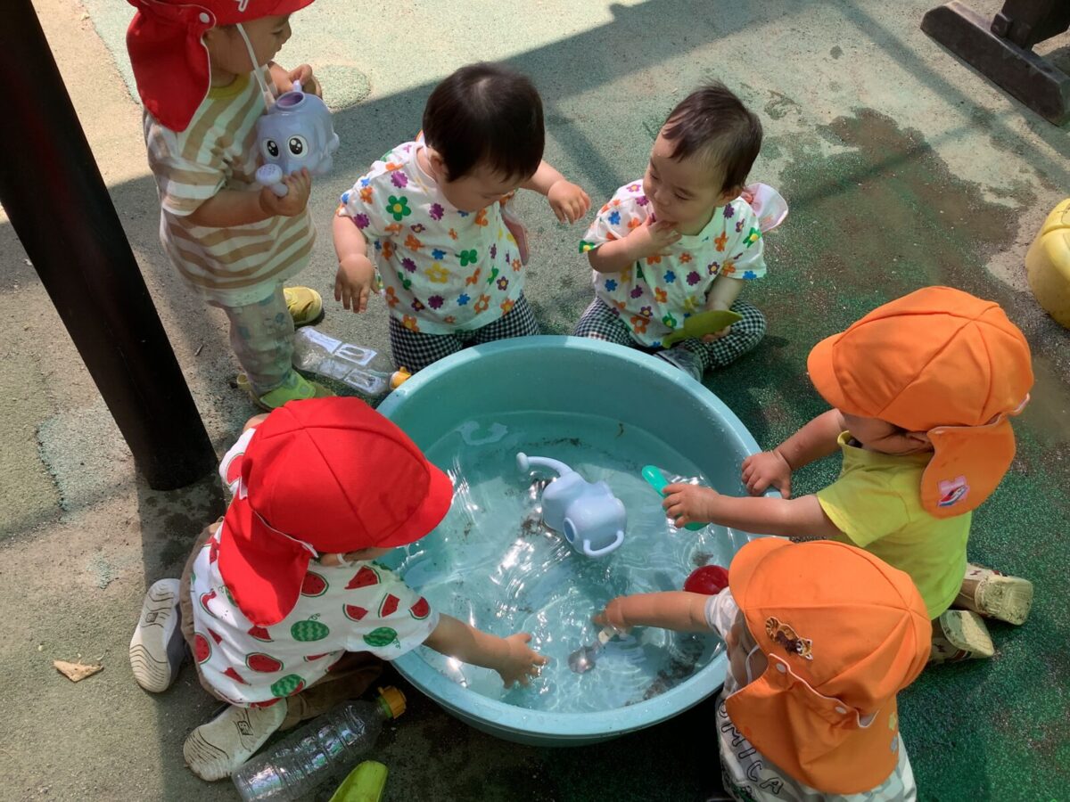 ６月の様子